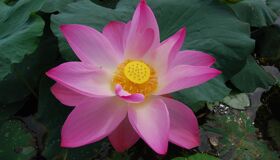image-49